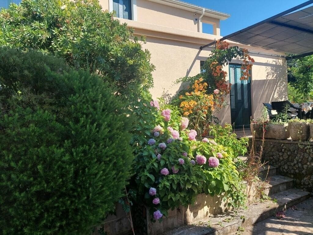 Апартаменти Kjara Apartments 3*