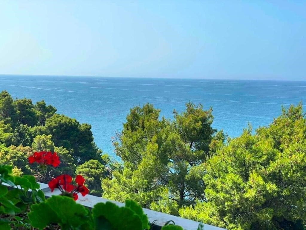 Панорама Albatros Hotel 2*