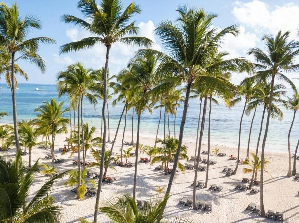Фотография Barcelo Bavaro Beach 5*