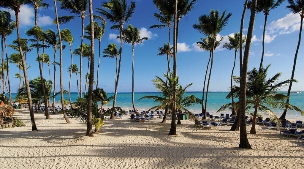 Вид Barcelo Bavaro Beach 5*