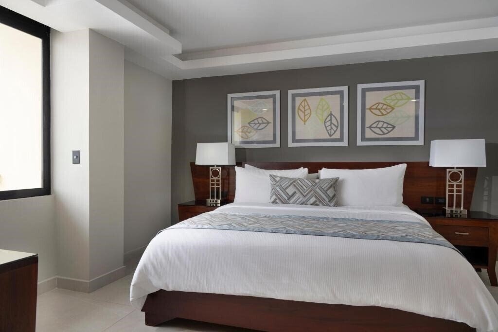 Вид Hodelpa Centro Plaza 3*