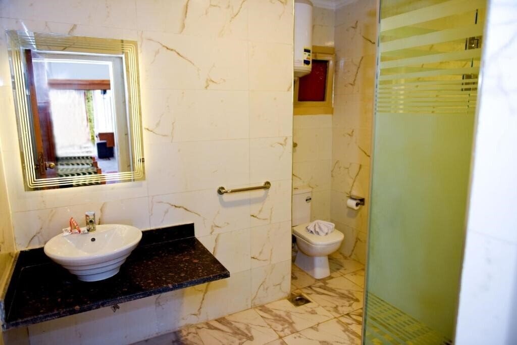 Фото Hotel Regency Alexandria 3*