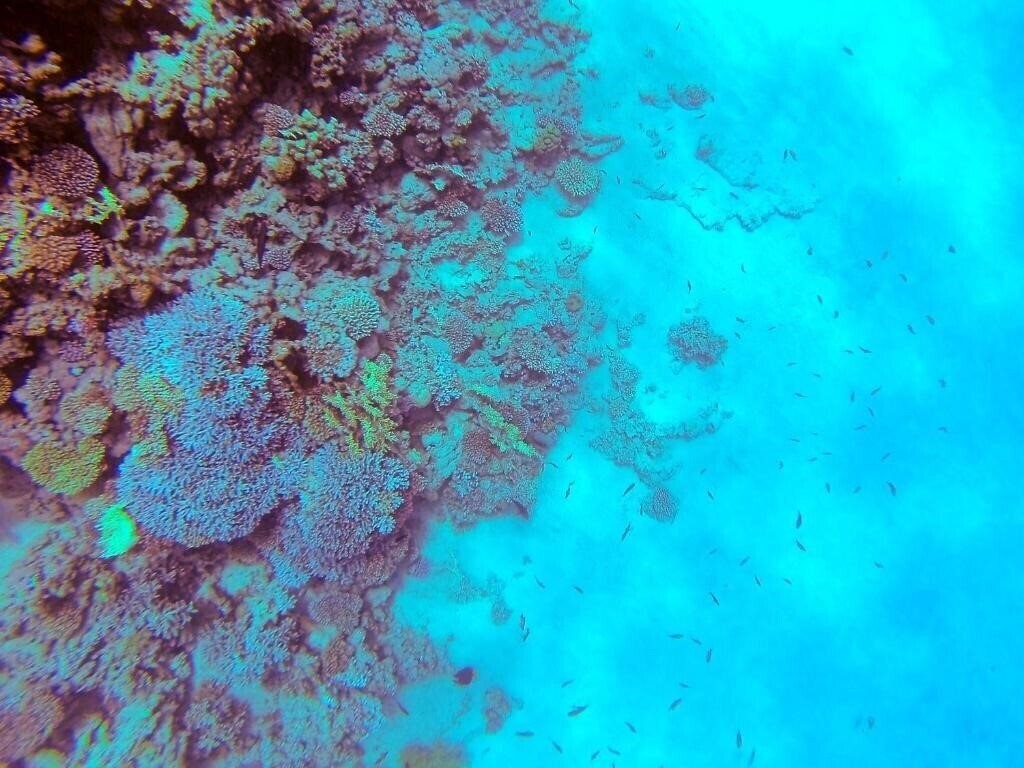 Панорама El Primo Hotel Dahab 3*