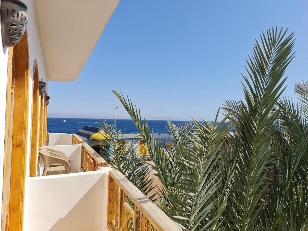 Вид Shams Hotel & Dive Centre 3*