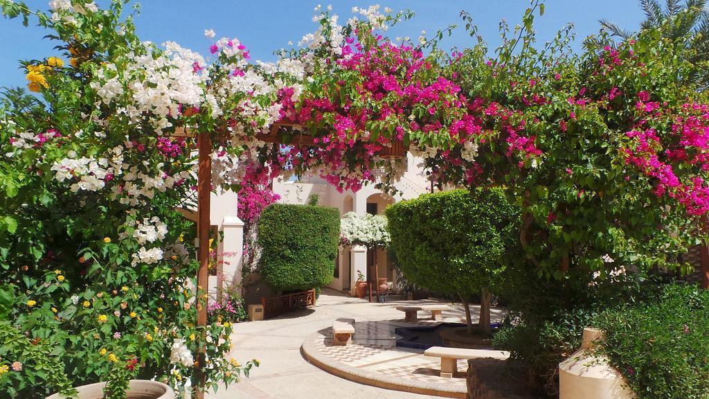 Вид Sultan Bey Hotel 4*