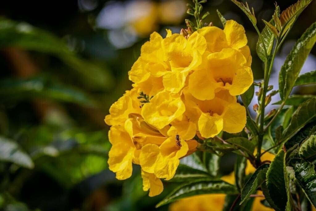 Территория Silver Beach Boutique Hotel (ex. Silver Beach El Quseir) 3*