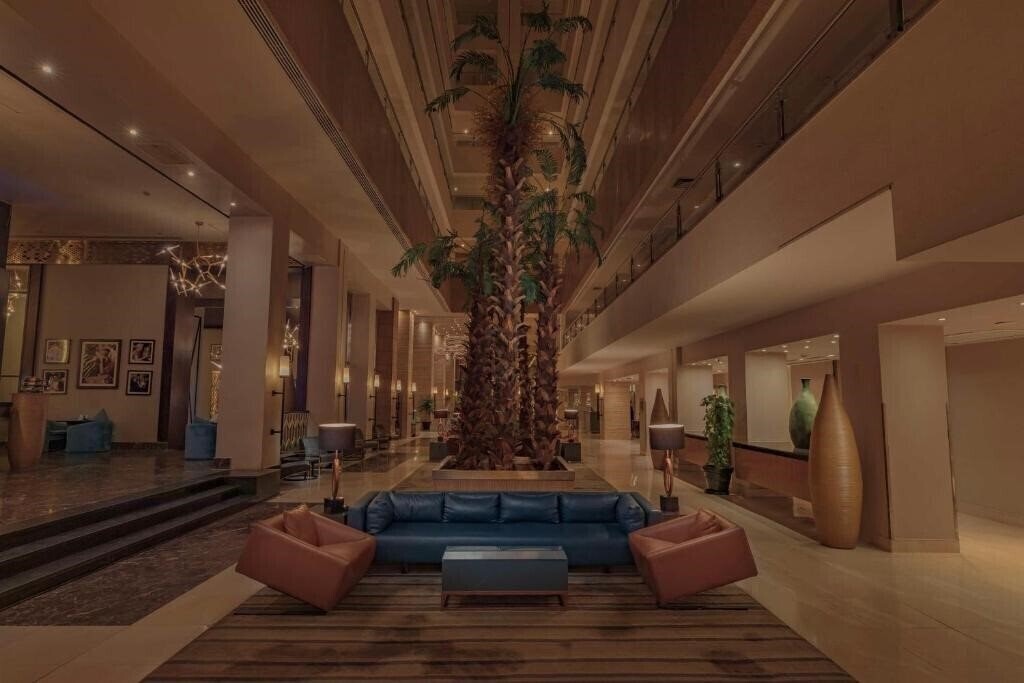 Вид Radisson Blu Hotel Cairo 5*