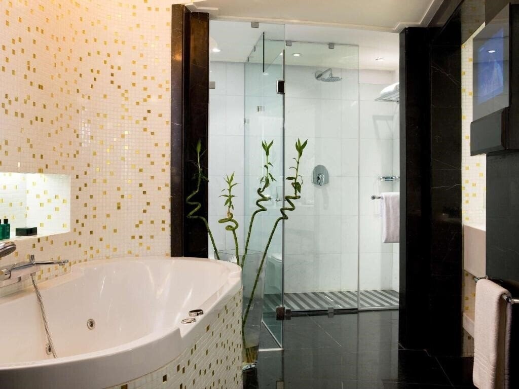 Панорама Sofitel Cairo El Gezirah (ex. El Gezirah Hotel Towers & Casino) 5*