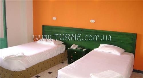 Панорама Nefertiti Sun Flower 4*