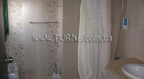 Вид Nefertiti Sun Flower 4*