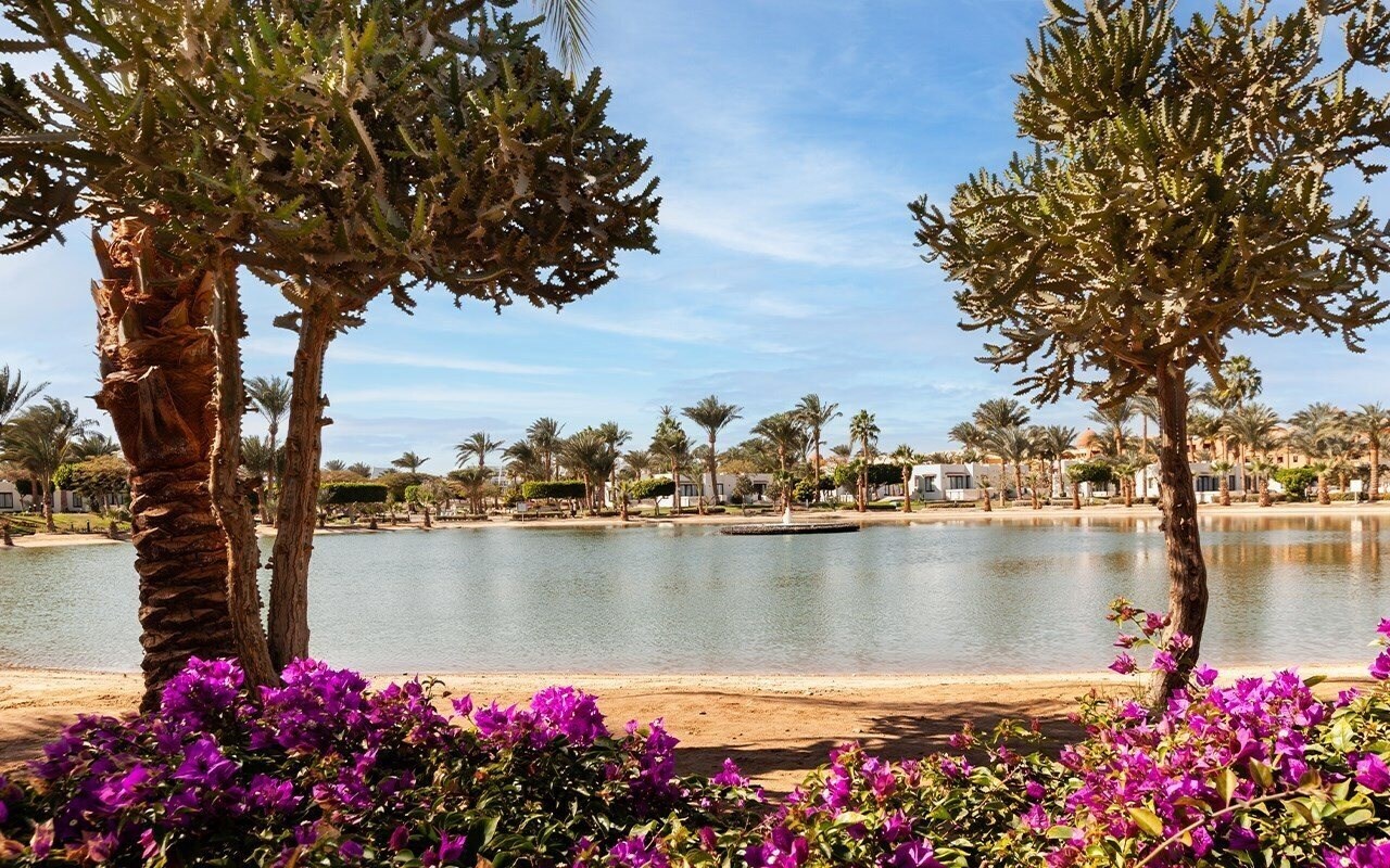 Картинка Pharaoh Azur Resort (ex. Sonesta Pharaoh Beach) 5*