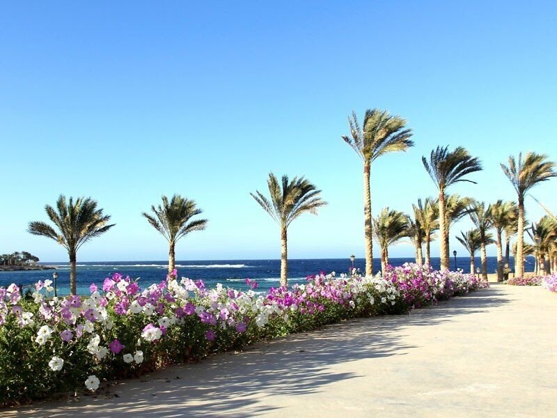 Апартаменты Zee Brayka Lagoon 4*