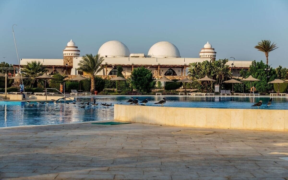 Апартаменты Gorgonia Beach Resort (ex. Vime Gorgonia Beach ) 5*