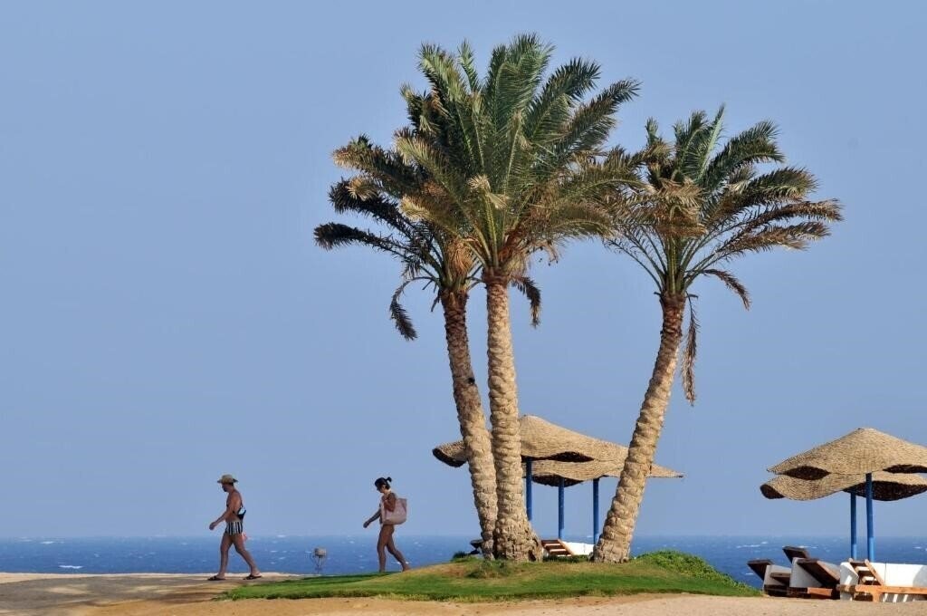 Панорама JAZ Neo Reef Marsa 4*