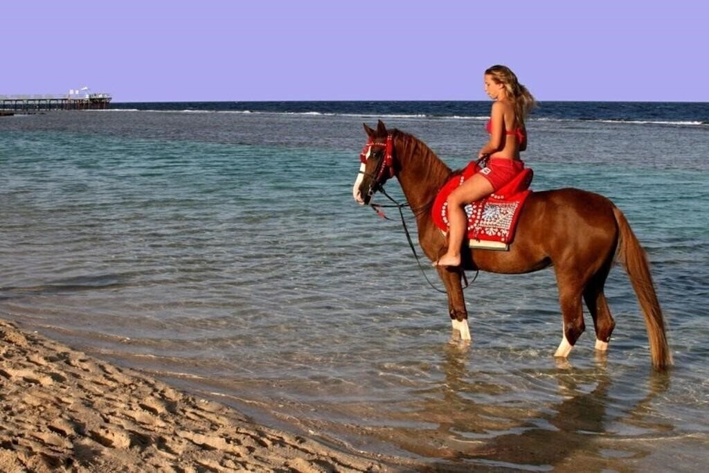 Панорама Sentido Akassia Beach (ex. Lti Akassia Beach Resort) 5*