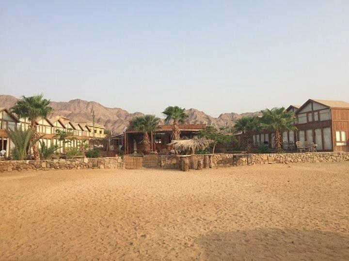 Апартаменты Nakhil Inn & Dreams 3*