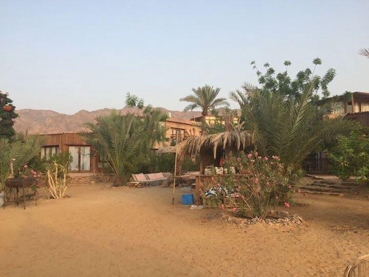 Панорама Nakhil Inn & Dreams 3*