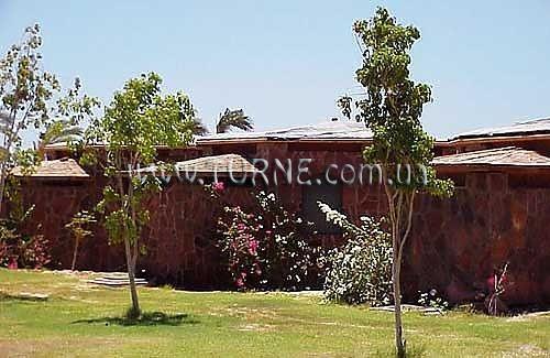 Зображення Safari Beach Resort Nuweiba 3*