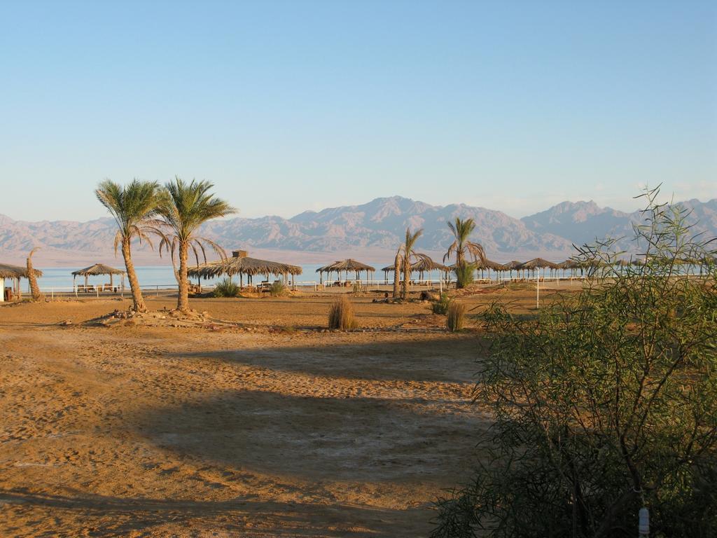 Апартаменти Swisscare Nuweiba Resort 3*