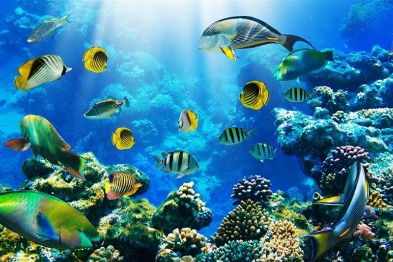 Апартаменты Fortuna / Roulete / Tez Express / Bingo - Aqua Park 5*