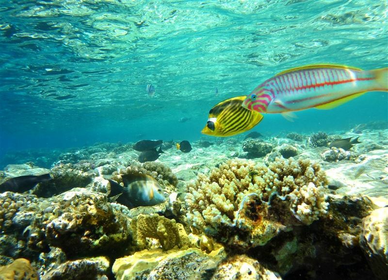 Панорама Fortuna / Roulete / Tez Express / Bingo - Aqua Park 5*