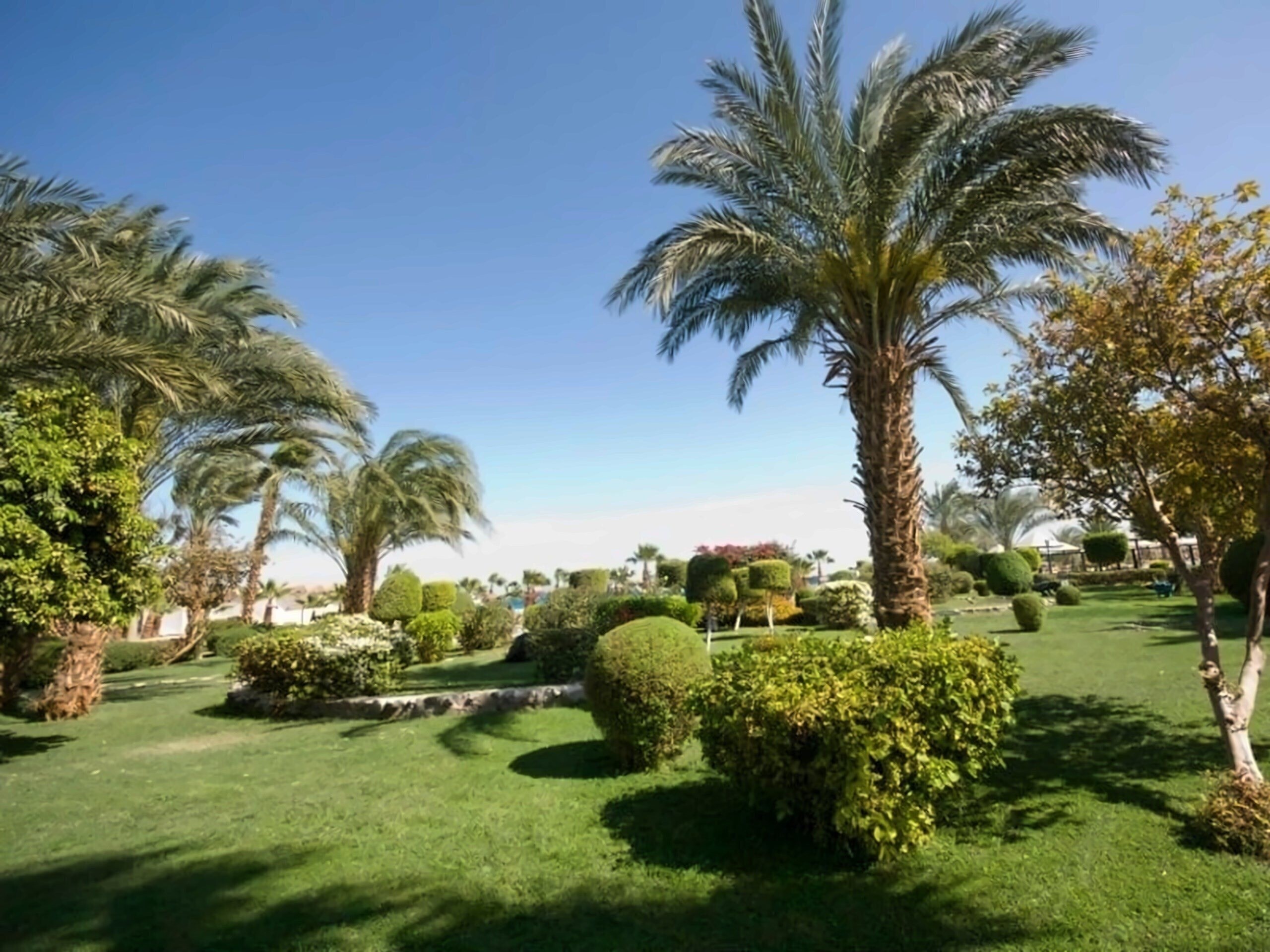 Территория Lotus Bay Resort (ex. Lotus Bay Beach Resort, Lotus Bay Beach Resort & Gardens) 4*