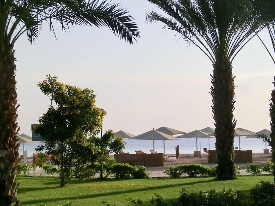 Фотография Menaville Resort Safaga (ex. Menaville Safaga) 4*