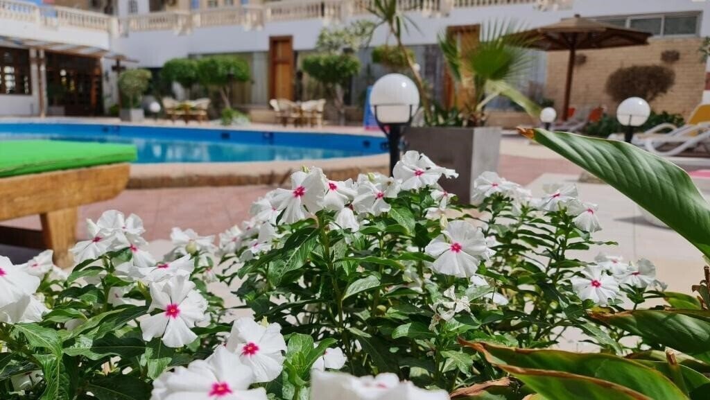 Апартаменти Zak Inn 3*