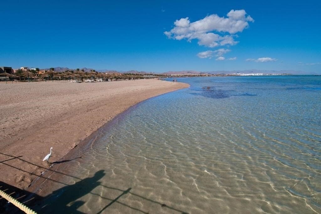 Фотографія Amwaj Oyoun Resort 4*