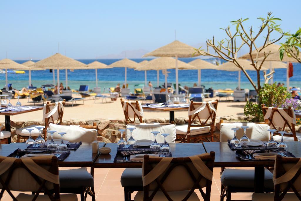 Територія Domina Coral Bay King's Lake 5*