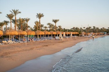 Отель Dive Inn Resort Hotel 4*