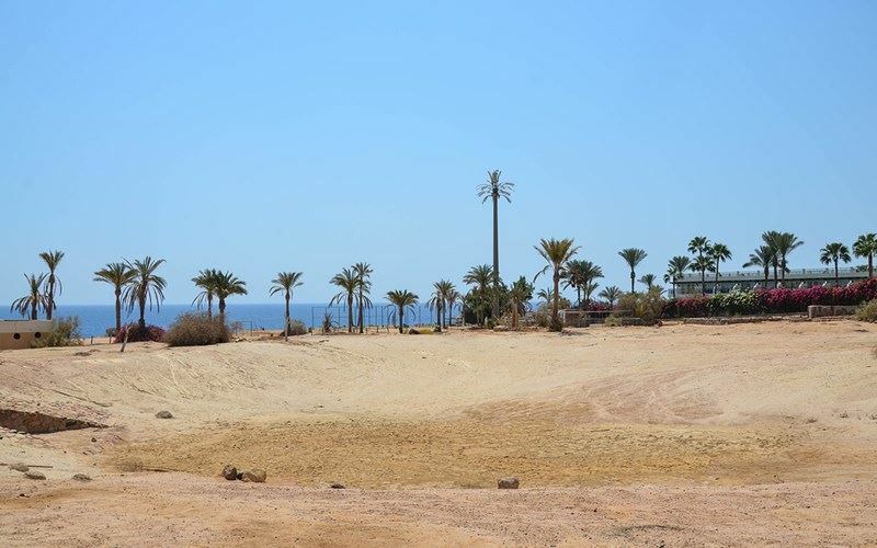 Панорама Royal Paradise 4*