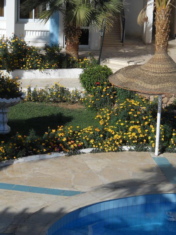 Картинка Regency Royal Hills (ex. Regency Sharm Hotel) 3*