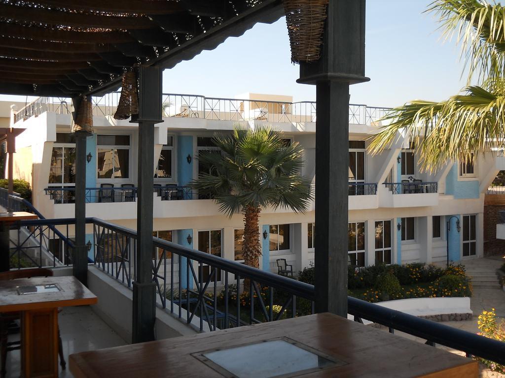 Территория Regency Royal Hills (ex. Regency Sharm Hotel) 3*