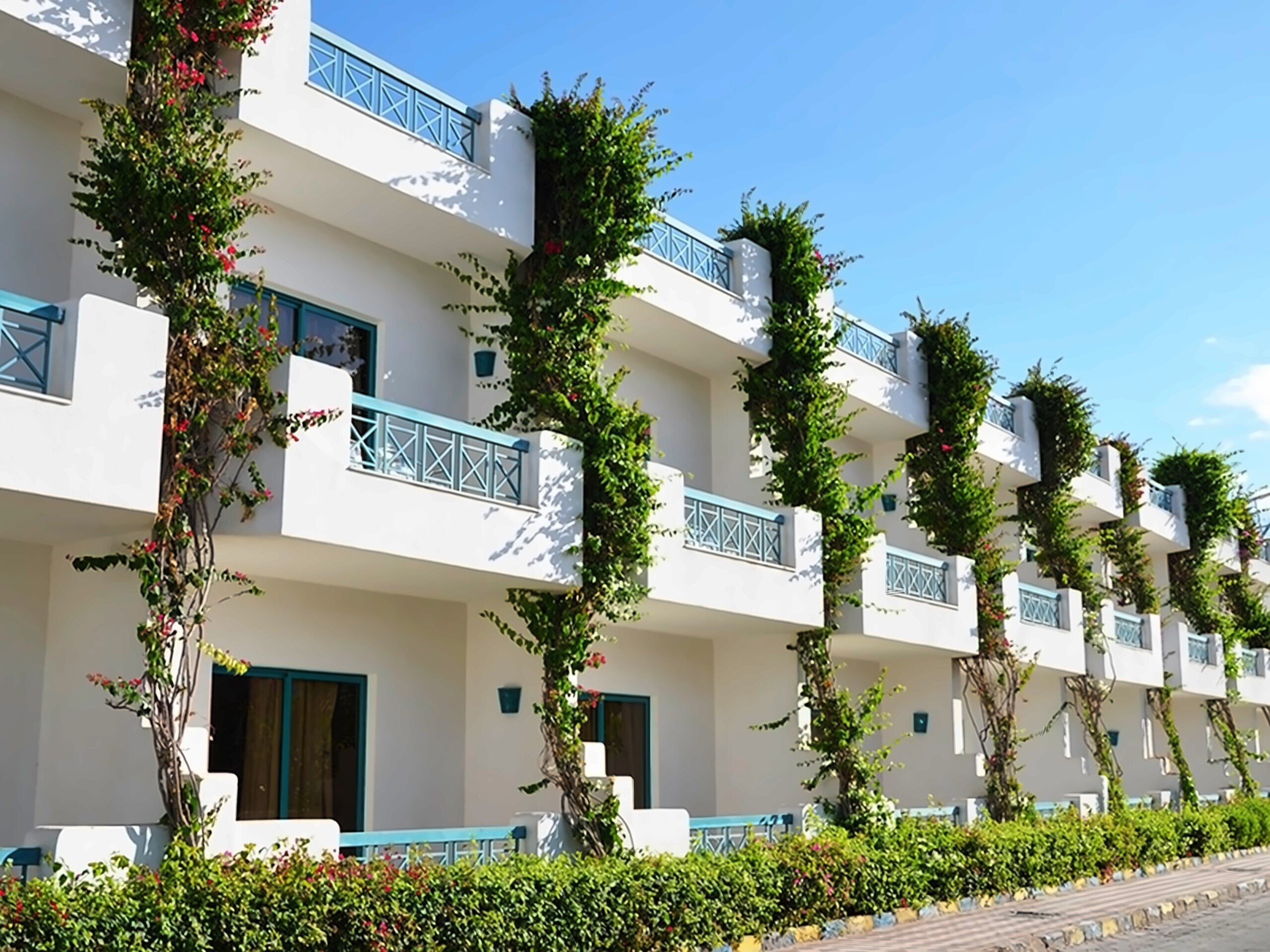 Готель Sharm Cliff Resort 3*