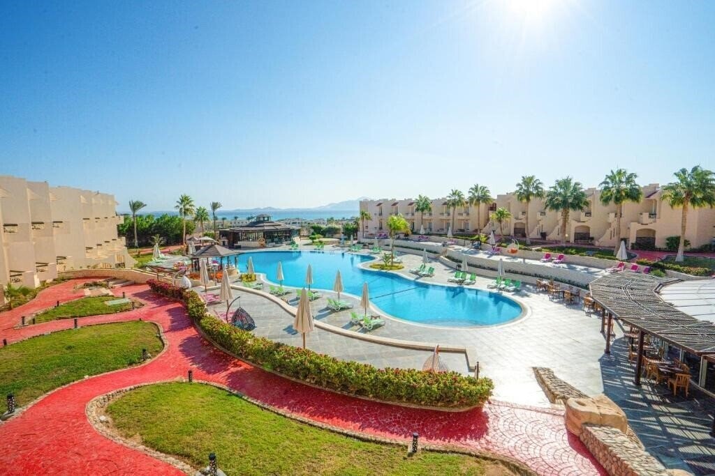 Фотография Ivy Cyrene Sharm 4*