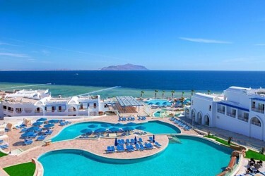 Отель Dive Inn Resort Hotel 4*