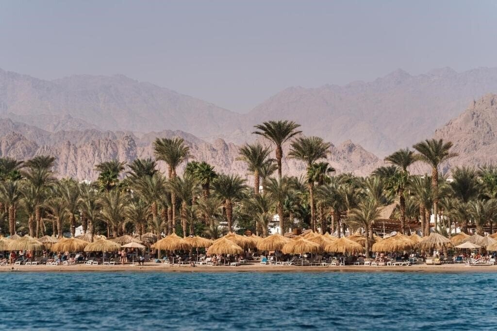 Фотография Jaz Sharm Dreams Resort 5*
