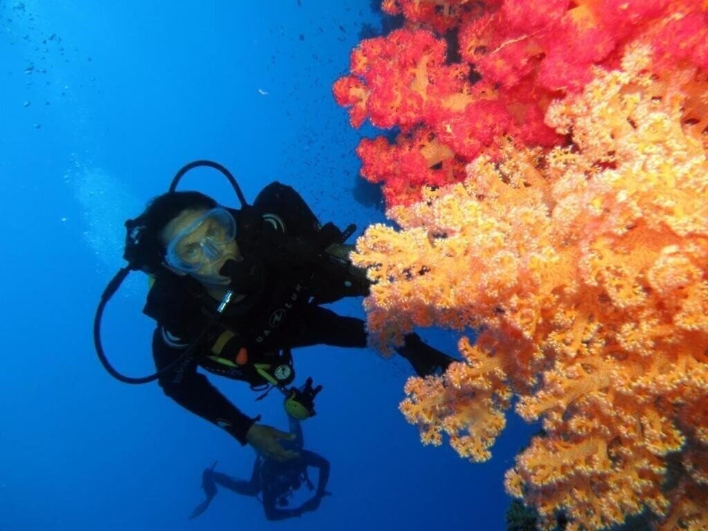 Территория Aida Hotel 3*