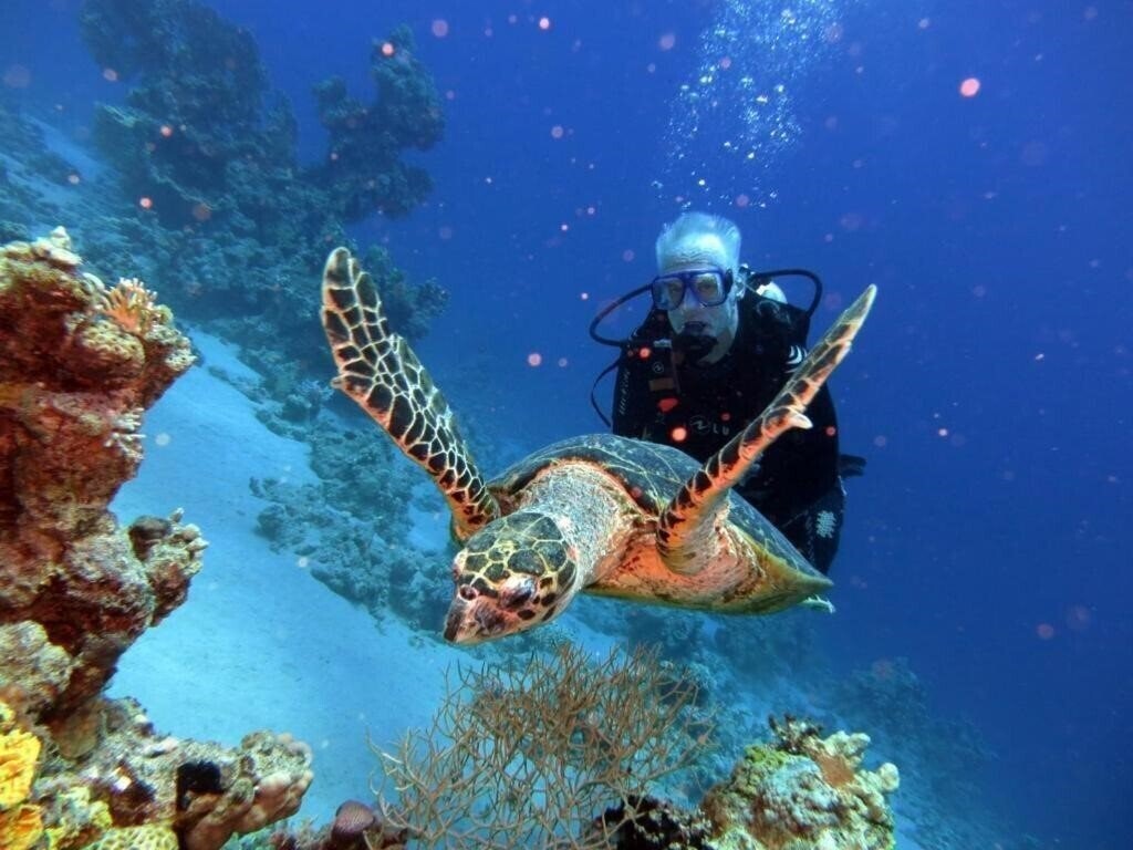 Апартаменты Aida Hotel 3*