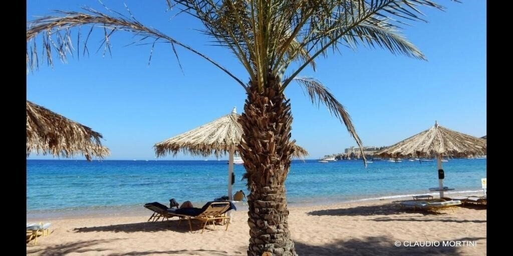 Панорама Dreams Vacation Club 5*