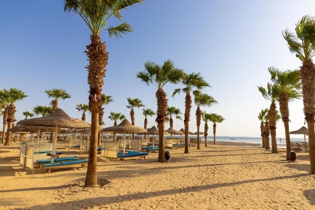 Картинка Amwaj Beach Club Resort (ex. Amwaj Blue Beach Resort, Pickalbatros Beach Club) 4*