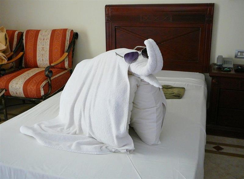 Изображение Imperial Shams Abu Soma 5*