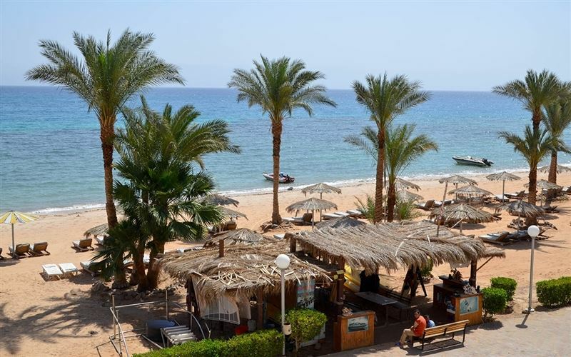 Територія Steigenberger La Playa Resort 5*