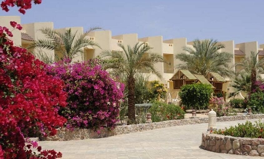 Территория Dessole Holiday Taba Resort (ex. Holiday Inn Resort Taba) 4*