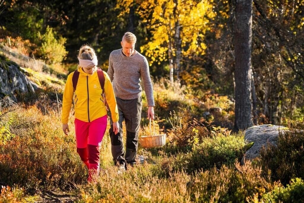 Апартаменти Break Sokos Hotel Koli 4*