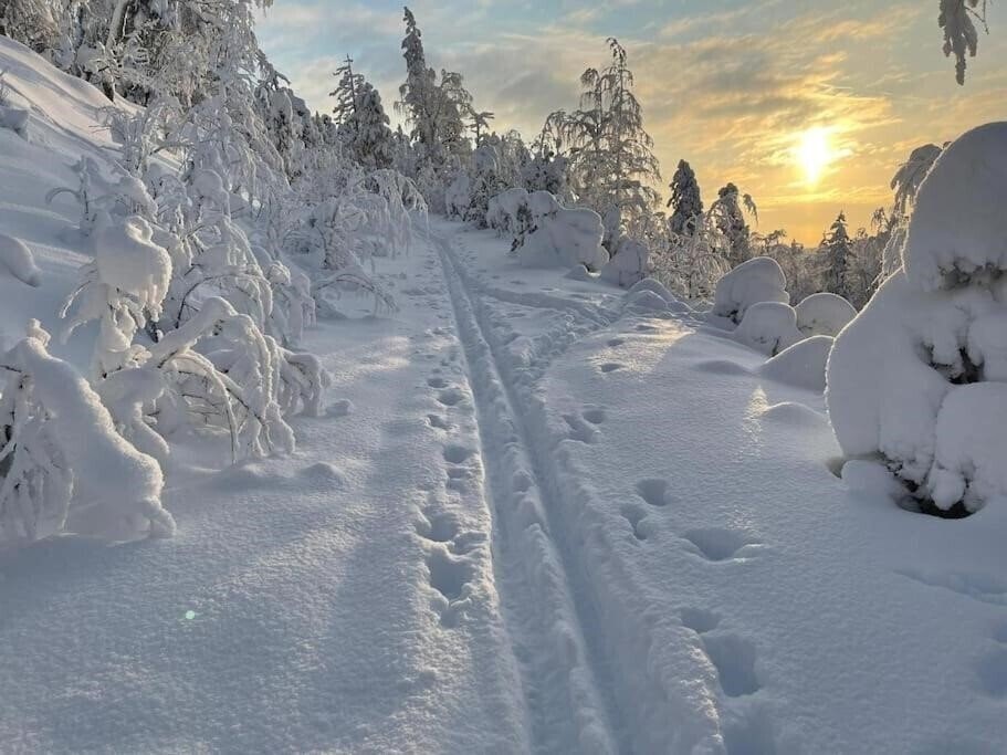 Панорама Lapintaika (2-Bedroom) отель без категории