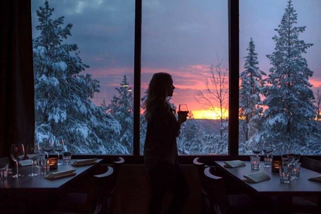Вид Lapland Hotel Sky Ounasvaara 3*