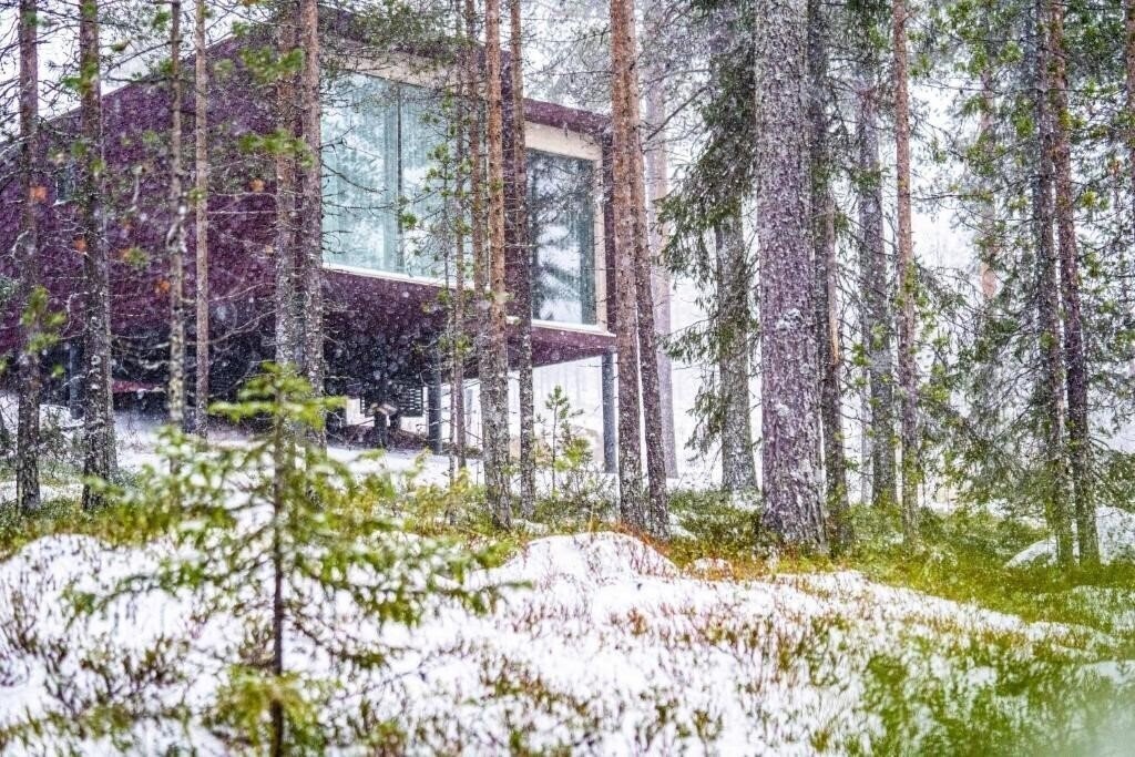 Вид Arctic Treehouse Hotel 4*