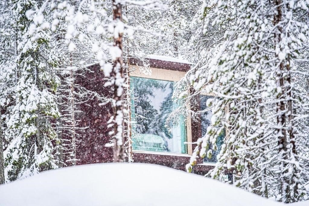 Территория Arctic Treehouse Hotel 4*